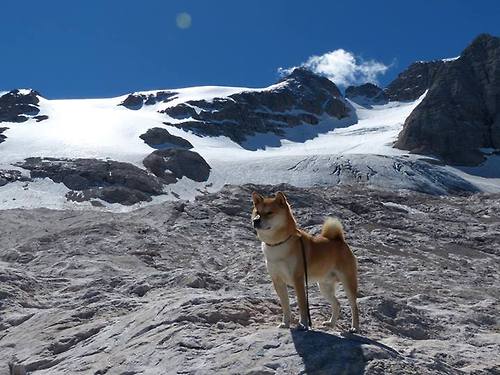 开云体育-逆袭之夜！山西队用三分雨浇灭新疆，这场爆冷给CBA带来了什么？