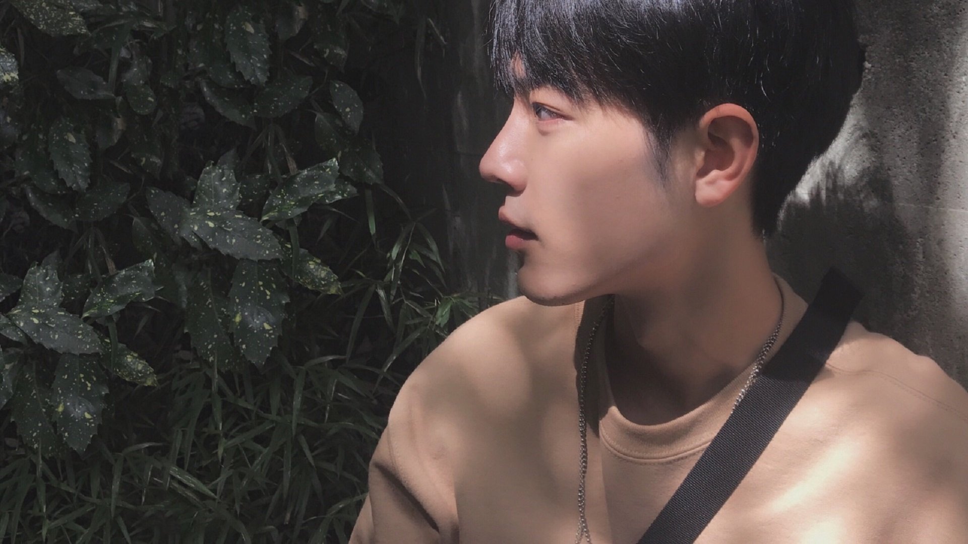 荷兰铁壁,当德里赫特一肩扛起全队,现代足球还需要孤胆英雄吗?