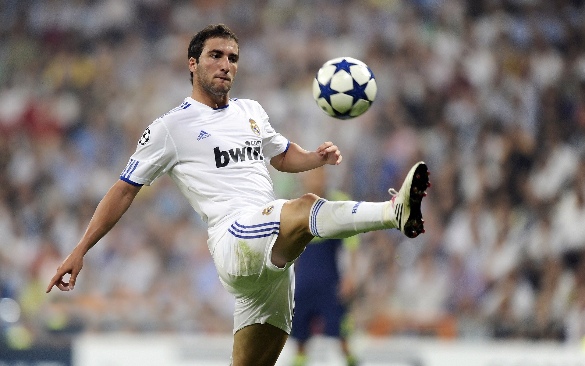 F1年度争冠之夜,奥利维耶在关键一战中彰显王者风范,坚毅不手软铸就传奇